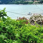 Peyko 3*